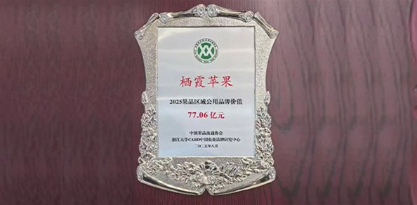 77.06億元！“棲霞蘋果”品牌價值穩居全國榜首！